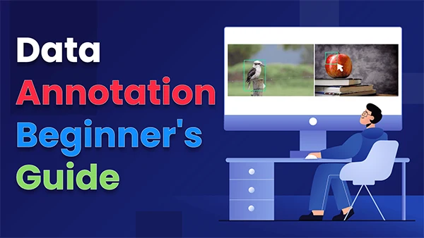 Data Annotation
