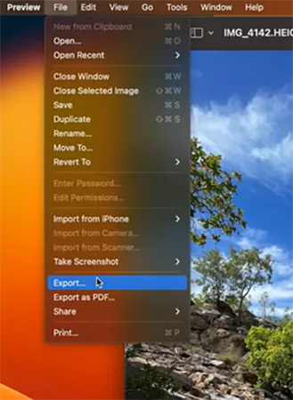 Go to File then select Export&nbsp;