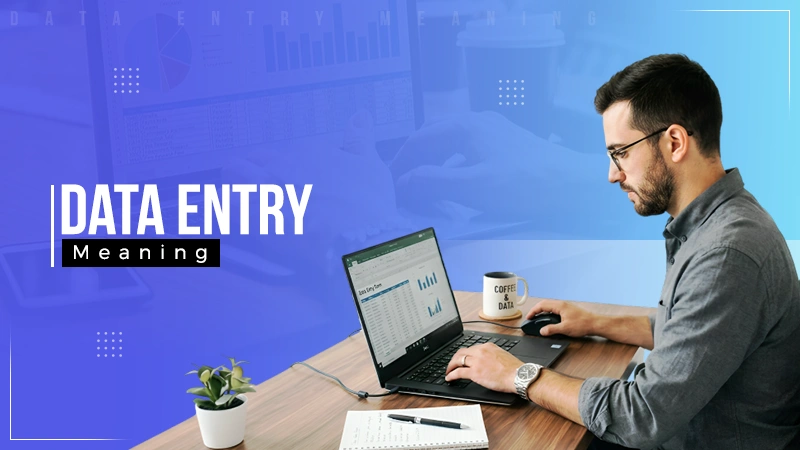 Data Entry