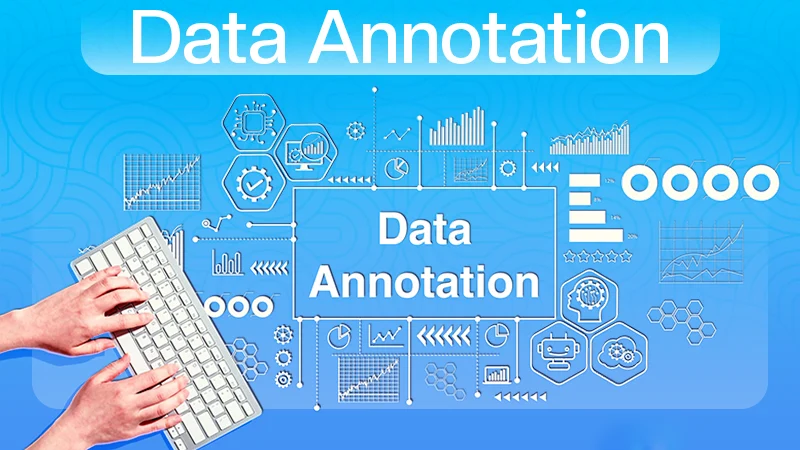 Data Annotation Types
